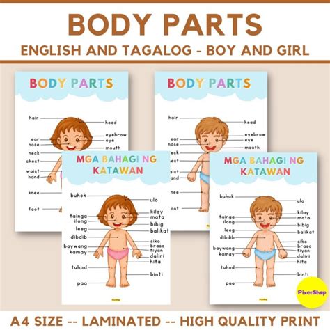 Image result for Tagalog Body Parts