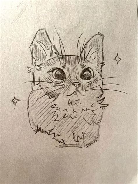 Toradh íomhá ar Pinterest Art Sketches