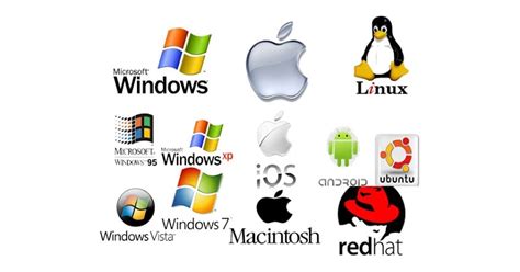 Image result for Contoh Software Berdasarkan Penggunaan