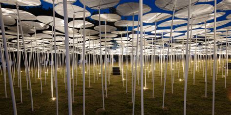 Image result for Interactive Installation