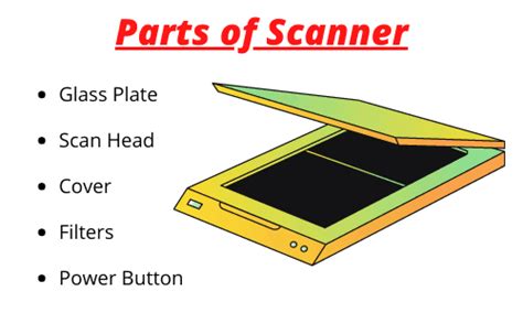 Image result for Labelled Diagram of Scanner Input Device
