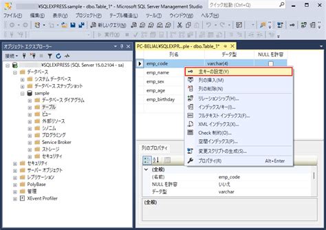 Table Names in Microsoft SQL に対する画像結果