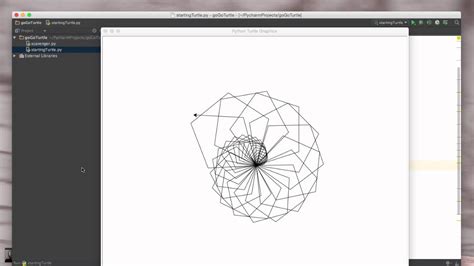 Image result for Python Turtle Graphics