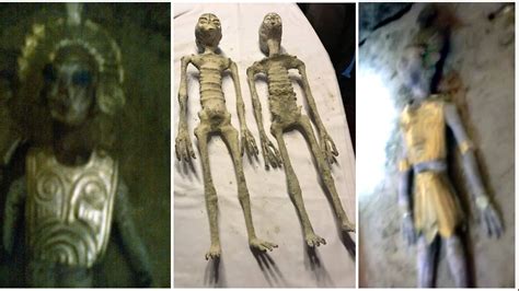 Image result for Alien Haai