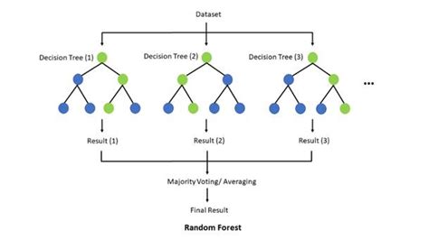 Image result for Classification Random Forest