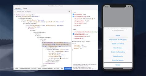 Afbeeldingsresultaten voor React Native Debugger