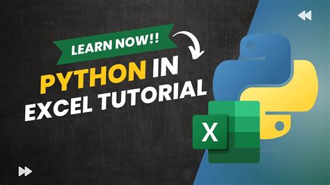Image result for Python or Excel