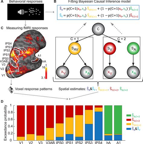 Image result for Bayesian Inference Schematic