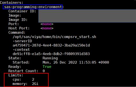 SAS Management Console に対する画像結果