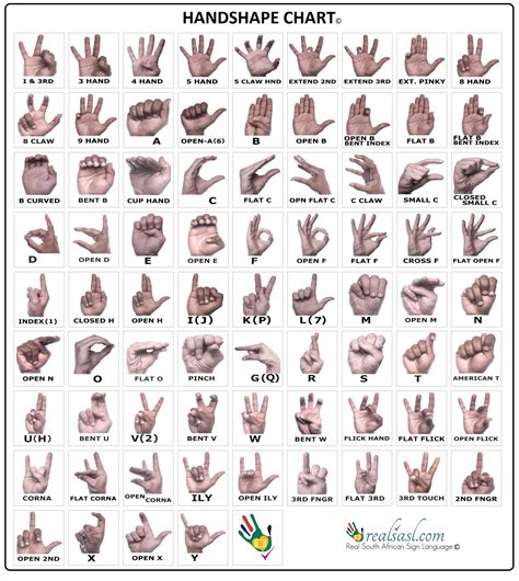 ASL Shape Chart に対する画像結果