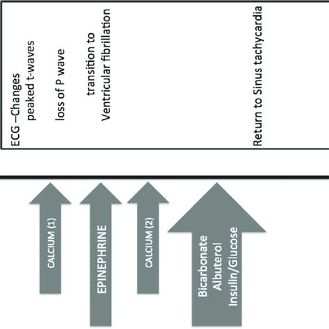 Image result for Simulation Timeline Plot