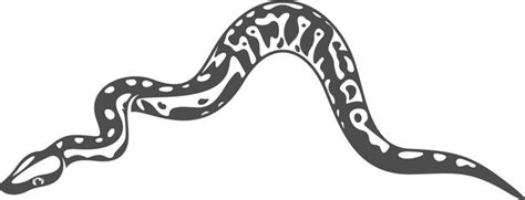 Image result for White Python Snake Graphic Logo