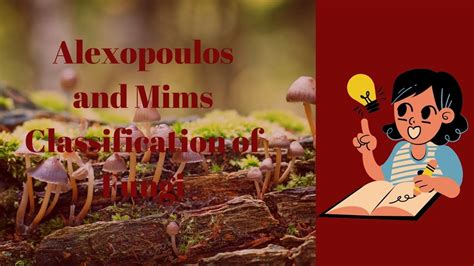 Flow Chart of Alexopoulos and Mims Classification に対する画像結果