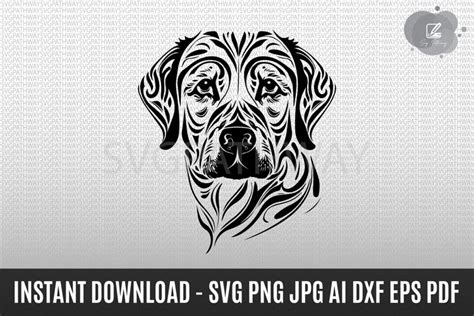 Image result for Lab DXF