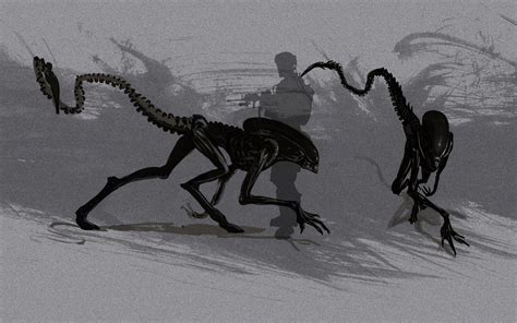 Image result for Alien 3 Xenomorph Art