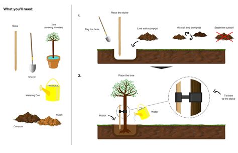 Hedge Planting Spacing Guide に対する画像結果