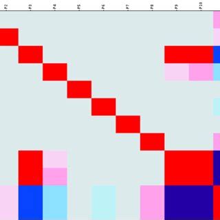 Image result for Correlation Plot Organizing Correlation Matrix