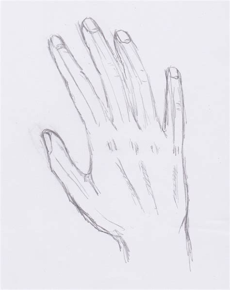 Image result for Hand Back View Drawing