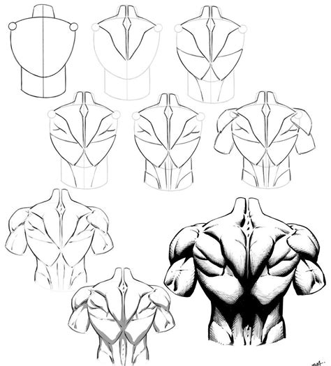 Image result for Back Torso Drawing