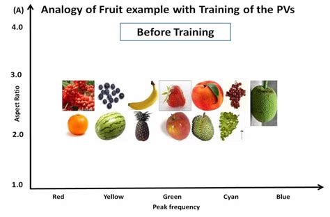 Image result for Unsupervised Learning Clustering of Different Fruits