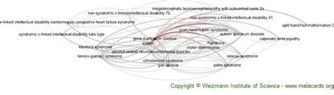 Image result for Duplication Disease