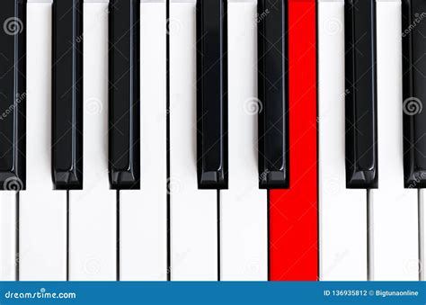 Image result for Piano Keyboard Top View