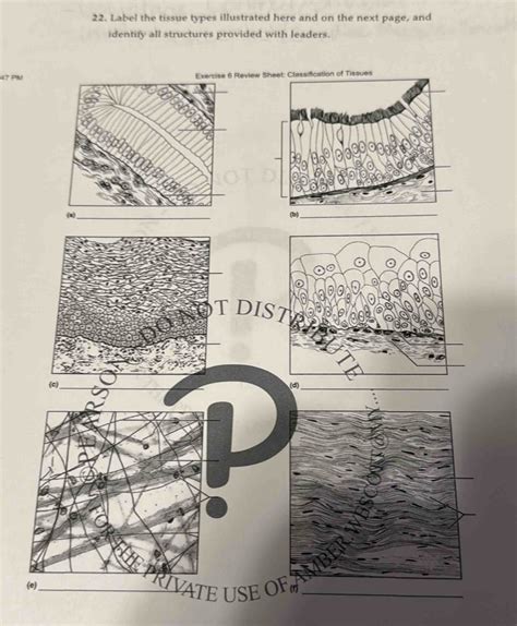 Identify Tissue Types に対する画像結果