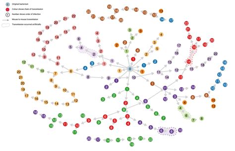 Infection Network Map Python に対する画像結果