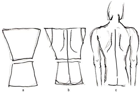 Image result for Back Torso Drawing