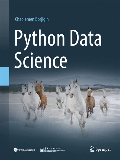 Toradh íomhá ar Data Science PDF
