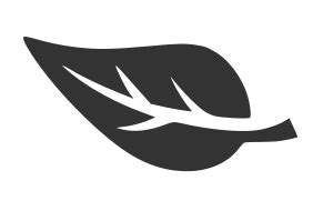 Leaf GUI Software に対する画像結果