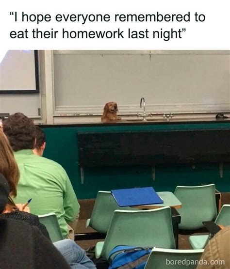 Image result for Homework Flder Meme