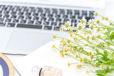 Spring Boot No Background に対する画像結果