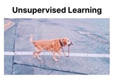 Afbeeldingsresultaten voor Supervised Learning Meme