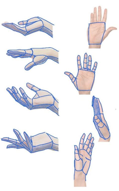 Image result for Hand Drawing Basic Shapes