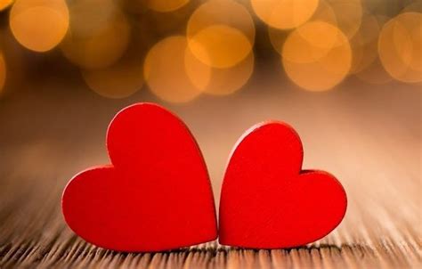 Image result for Viktor Gambar Love