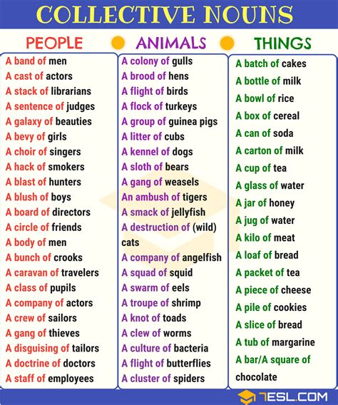 Image result for Collective Nouns Examples