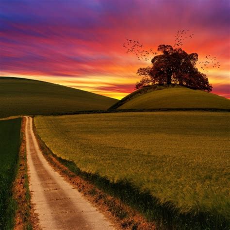 Image result for Python 600 X 600