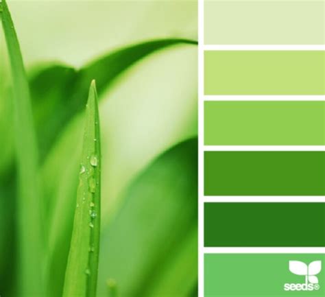 Image result for Spring Green Color Swatch