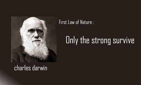 Image result for Support Vector Machine Sudocode