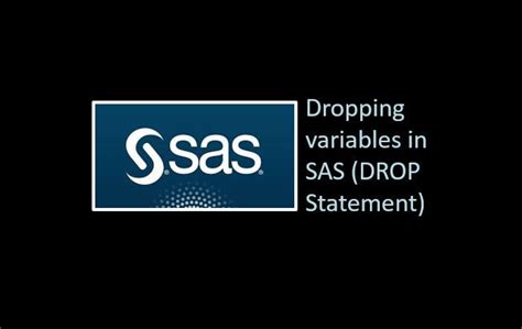 Drop Variables in Proc Sort in SAS に対する画像結果