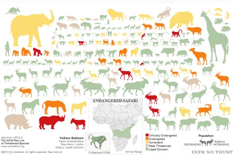 Image result for Animal Data Visualization