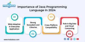 Image result for Global Impacts of Java