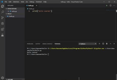 Image result for Formulario Em Python Visual Studio