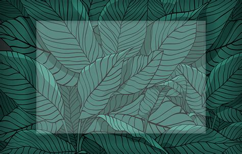 HTML/CSS Transparent Background に対する画像結果