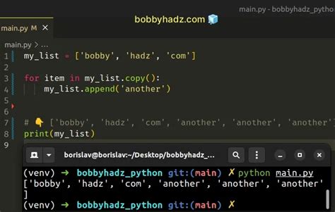 Adding Elements in List Python に対する画像結果