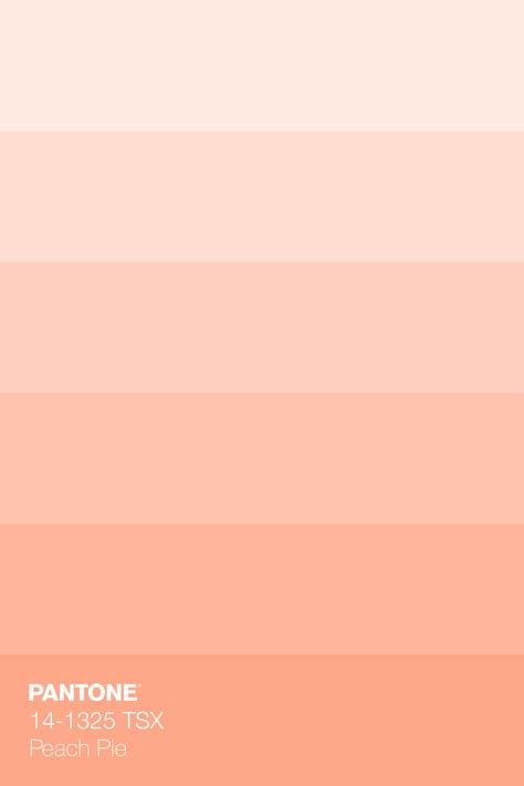 Color Code for Light Peach に対する画像結果