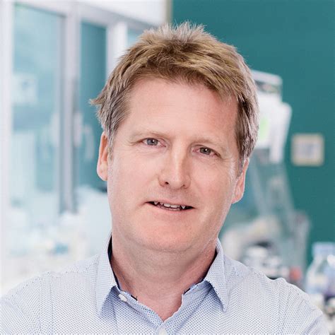 Image result for Pschrimp Brander