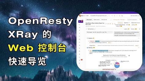 OpenResty 9443 Panel に対する画像結果