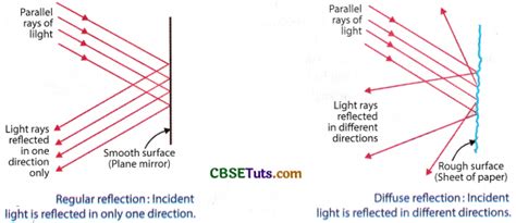 Image result for Diffuse Reflection Labelled Diagram